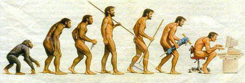 evolução humana